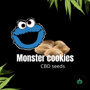 Monster Cookies | 3 Sem.